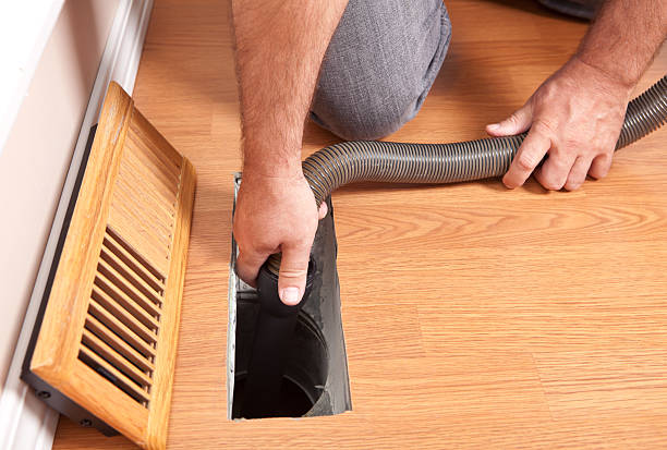 Best Air Duct Mold Removal  in Hawkinsville, GA