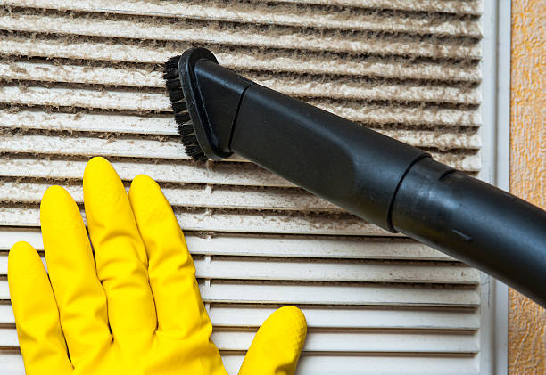 Best Local Air Duct Cleaning Services  in Hawkinsville, GA